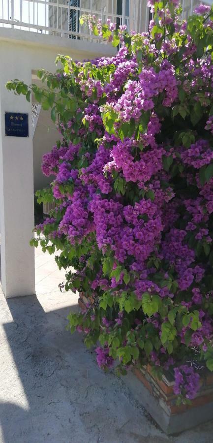 Stone Guest House Split Dış mekan fotoğraf